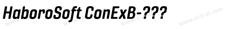 HaboroSoft ConExB字体转换 HaboroSoft ConExB字体转换